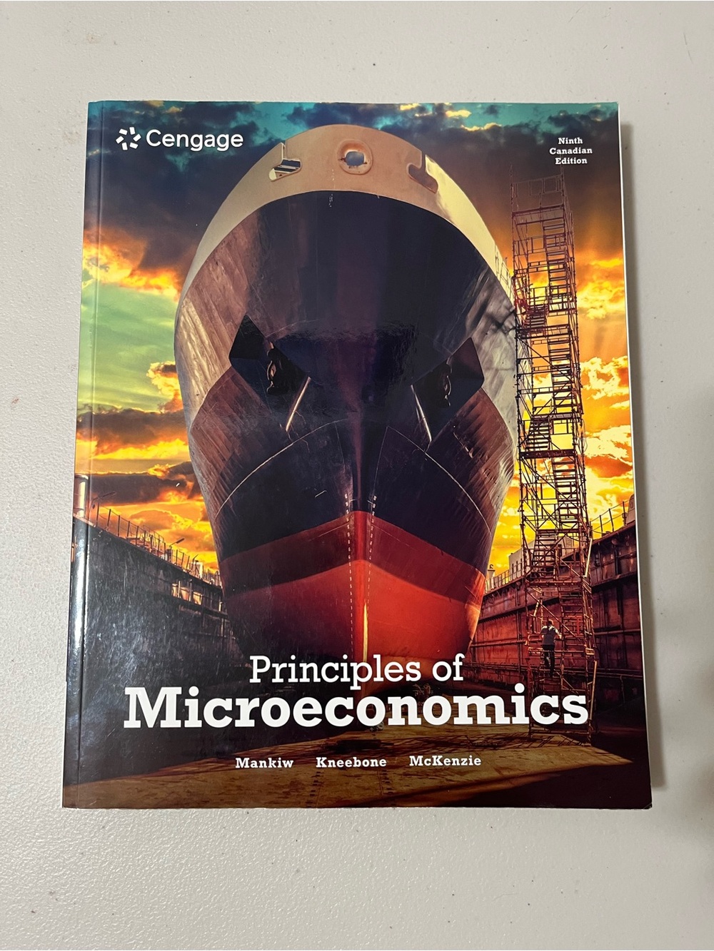 Cengage Principles of Microeconomics Textbook - Orange & Black Cover